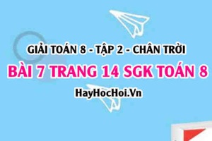 Bài 7 trang 14 Toán 8 Tập 2 Chân trời sáng tạo